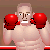Boxer Kamil