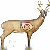 Deer Hunter game