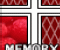 Memory Flash
